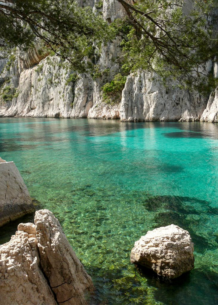 Discover the tranquil beauty of Marseille's rugged calanques with clear turquoise waters and lush greenery.